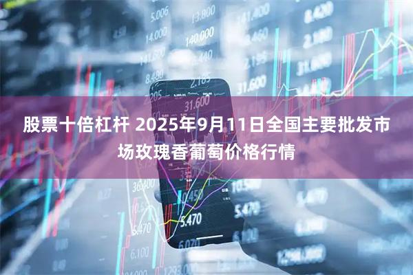 股票十倍杠杆 2025年9月11日全国主要批发市场玫瑰香葡萄价格行情