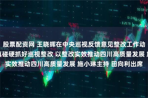 股票配资网 王晓晖在中央巡视反馈意见整改工作动员部署会议上强调 动真碰硬抓好巡视整改 以整改实效推动四川高质量发展 施小琳主持 田向利出席